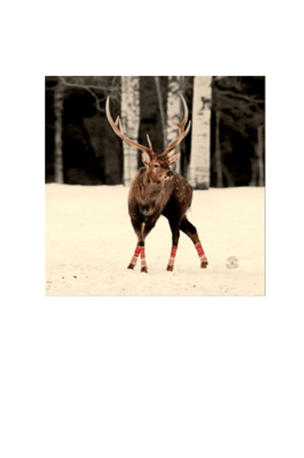 Hovedbilde Deer bilde